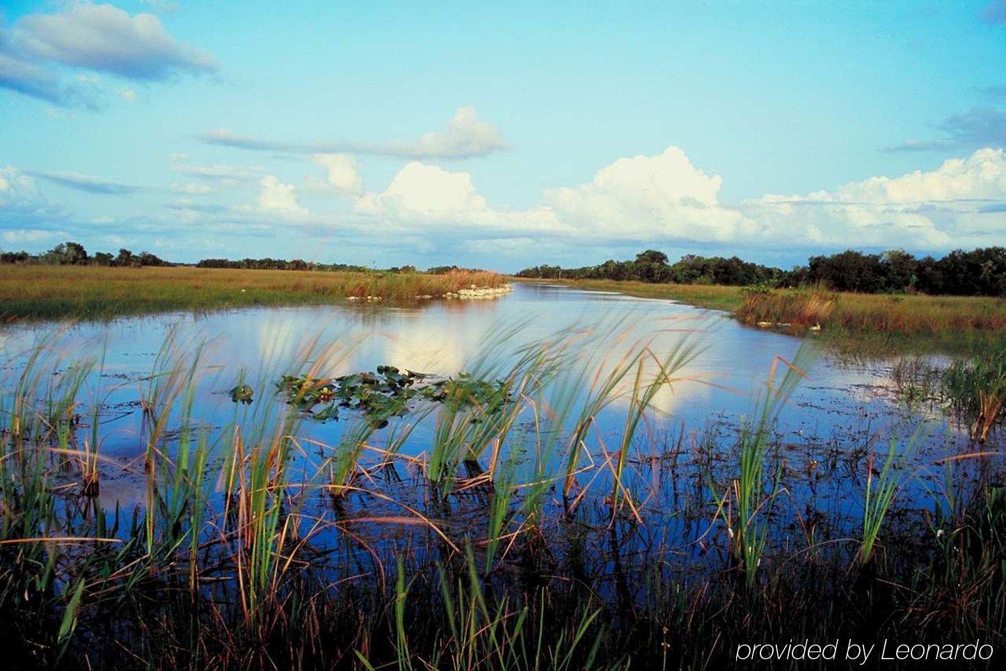 Hampton Inn Naples-Central Luaran gambar
